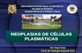 Neoplasias de celulas plasmaticas - MIELOMA MULTIPLE