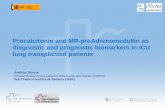Procalcitonin and MR-proAdrenomedullin as diagnostic and prognostic biomarkers in ICU lung transplanted patients