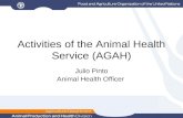 Activities of the Animal Health Service