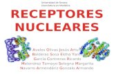 Receptores nucleares