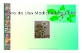 Medicamentos herbarios tradicionales unab 2011
