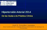 Hipertensión Arterial 2014: De las Guías a la Práctica Clínica - Dr. José R. González Juanatey