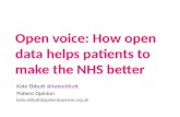 Open Voice: Patient Opinion at Health in Numbers