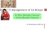 early breast cancer management