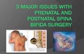 3 Major Issues with Prenatal and Postnatal Spina Bifida Surgery