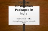 Honeymoon holiday destination packages in india