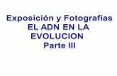ExposicióN Y FotografíAs Adn (Parte 3)