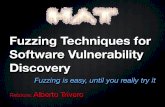 Fuzzing Techniques for Software Vulnerability Discovery