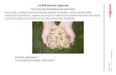 Lorenzo Arrostiti - biomassa legnosa - una risorsa energetica