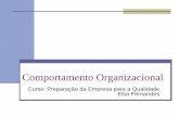 Comportamento Organizacional - Formação