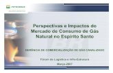 Frederico Bichara - Perspectivas e Impactos do mercado de consumo de Gás Natural no Espírito Santo