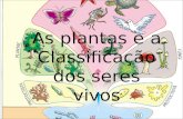 Plantas e classificação do seres vivos