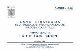 RTB Bor-Nova strategija privatizacije