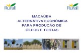 Macaúba - Características e produção de óleo [Modo de Compatibilidade]