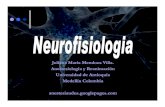 NEURurofisiologia - neurophysiology[1]