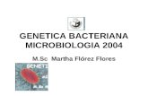 Genetica Bacteriana Micro 4