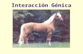 Interacción Génica 2005