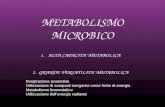 06intro Metabolismo microbico