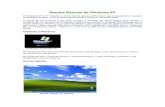 esaf 2009 - Informática Básica - Windows XP
