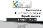 Trabalho - hormonas hipotálamo hipófise