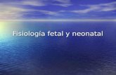Fisiologia Fetal