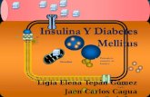 insulina y diabetes