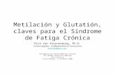 Metilacion y Glutation, claves para el SFC, Rich Van Konynenburg