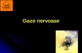 Gaze Nervoase