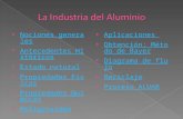 Aluminio - Paula Dellano - 09
