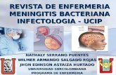 Revista Enfermeria Caso Clinico Meningitis Bacteriana y Acinetobacter Baumani
