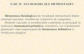 Anomalii Ale Hemostazei- Curs3