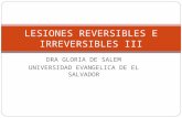06-Lesiones Reversibles e Irreversibles III