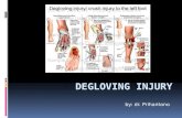 Degloving Injury (Pri)