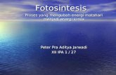 presentasi TIK (fotosintesis)