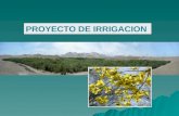 Bosques de Huarmey - Proyecto de Irrigación PPL - Antamina