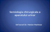 Semiologia Chirurgicala a Aparatului Urinar