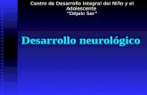 sesion 3-Desarrollo Neurologico