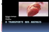 (7) Biologia e Geologia - 10º Ano - O Transporte nos animais