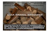 Guia Industrial ABIB  Brasil Briquete