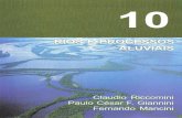 do a Terra - Cap 10 - Rios e Processos Aluviais