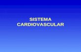 Fisio Cardiovasc 1