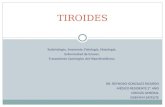 Anatomía y Fisiología de Tiroides. Enfermedad de Graves. Tiroidectomía