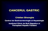 Curs Cancer Gastric