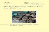 Bahasa Grouper Hatchery Guide08