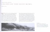 Causes of the Dust Bowl