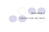 Oncologia - Colo Uterino
