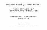 Copy of Financial Statement AnalysisIII-Revisi REF