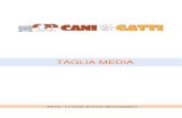 Taglia Media 1