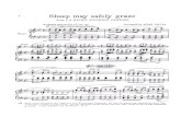 Bach - Sheep May Safely Graze, BWV 208 (Trans. by Petri)