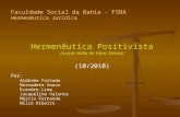 Hermenêutica Positivista - por Hans Kelsen - V04